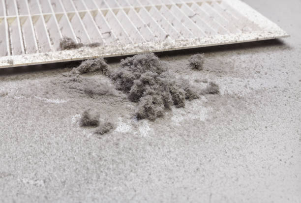 Best Affordable HVAC Duct Cleaning  in Clover Creek, WA