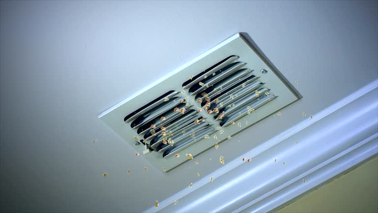 Best HVAC Maintenance and Cleaning  in Clover Creek, WA