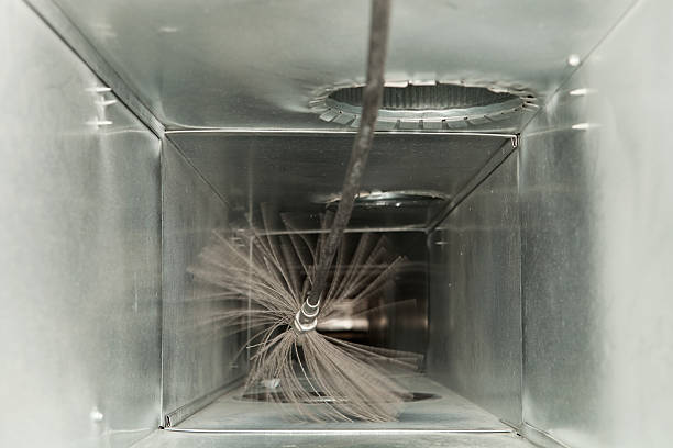 Best Residential Air Duct Cleaning  in Clover Creek, WA